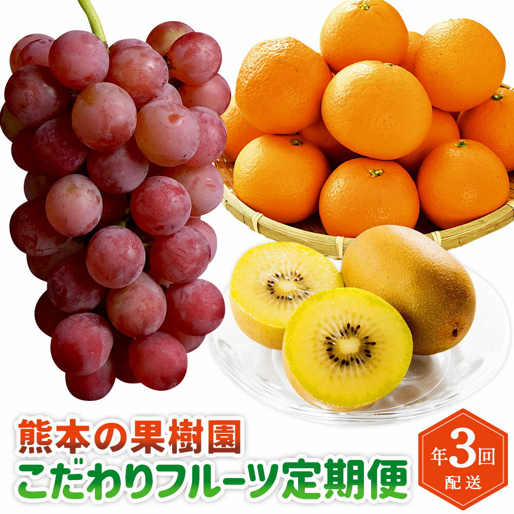 【ふるさと納税】【年3回定期便】熊本の果樹園 こだわり フルーツ 定期便 全3回 定期配送 密柑 柑橘 ぶどう 葡萄 紅瑞宝 キウイ ゴールドキウイ キウイフルーツ フルーツ くだもの 果物 果実 九州 熊本県 送料無料
