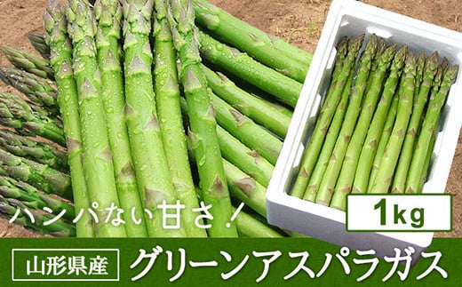 《先行予約 2026年度発送》グリーンアスパラガス FSY-0150