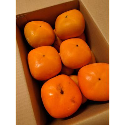 ふるさと納税 橋本市 たねなし柿(訳あり品)12〜15個入り |  | 01