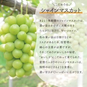 【きよとうファーム】訳ありご家庭用ピオーネとシャインマスカット/計約2.4kg(岡山県産)【配送不可地域：離島】【1602238】