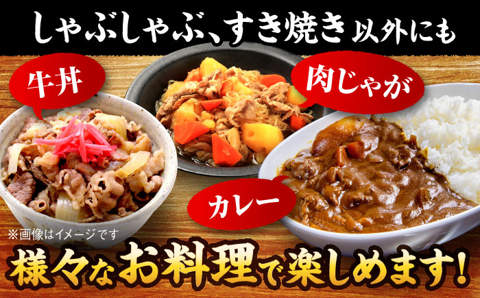 【A4ランク以上！】博多和牛 牛肉 肩ロース しゃぶしゃぶすき焼き用 600g＜株式会社MEAT PLUS＞那珂川市 [GBW122]