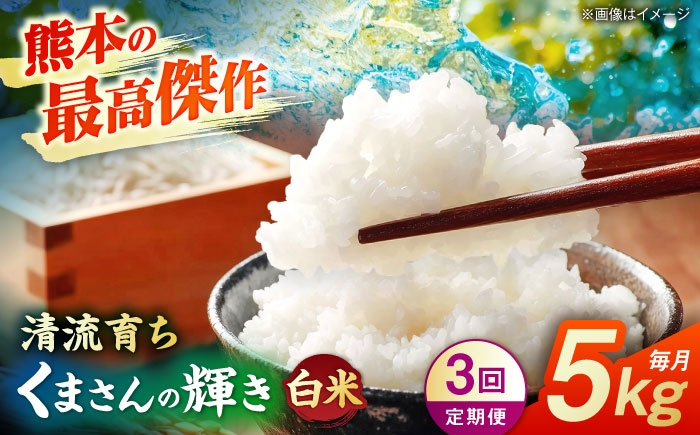 
                  【先行予約】【3回定期便】くまさんの輝き 白米  5kg 山鹿市産【奥村果実園】 [ZFK019]
                