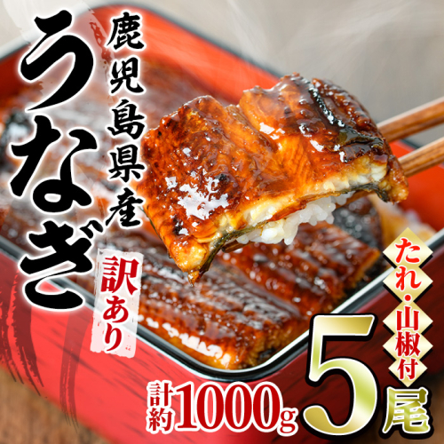 【0254362a】＜訳あり＞東串良町のうなぎ蒲焼(無頭)(5尾以上・計約1kg・タレ、山椒付) うなぎ 高級 ウナギ 鰻 国産 蒲焼 蒲焼き たれ 鹿児島 ふるさと 人気【アクアおおすみ】