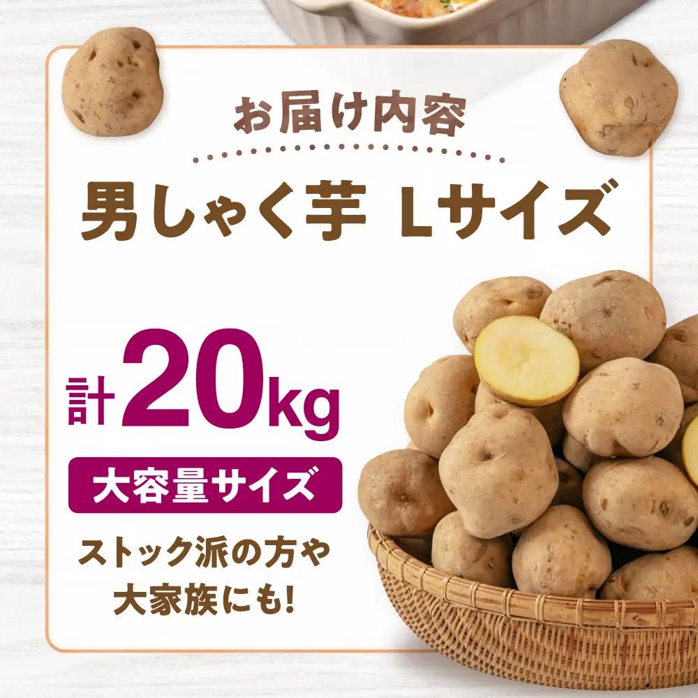  【先行予約】男爵芋 20kg [AJAK009] じゃがいも 