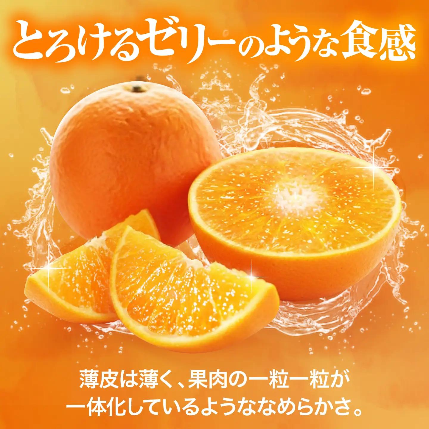  紅まどんな （3個）紅まどんな 柑橘[AGBA004]