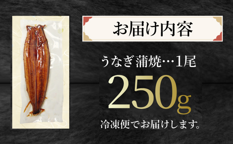 【丑の日までにお届け！7月7日入金まで】 【20セット限定】 うなぎ 蒲焼き ( 特大 250g×1尾 ) ご飯にかける専用タレ付き！ 冷凍 | 7月24日 までにお届け | うなぎ うなぎ うなぎ 