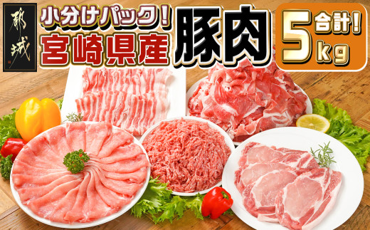 
            宮崎県産豚肉5kgセット_AC-M601_(都城市) ロース バラ 切り落とし ミンチ すき焼き とんかつ 焼肉 炒め物 ハンバーグ
          