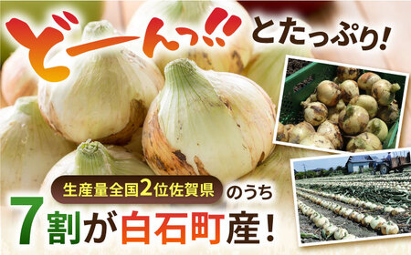 白石産たまねぎ 10kg / たまねぎ 玉ねぎ [IAK011]