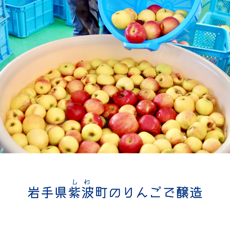 紫波サイダリー 12本 飲み比べセット ハードサイダー シードル プレミアム 岩手のりんご りんごのお酒 いわてワイン 岩手県 ふるさと納税 女子会 (AY004)