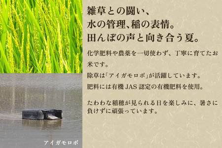 【令和8年産新米先行予約】加茂市産 特別栽培米 コシヒカリ 精米30kg（10kg×3袋） 《10月上旬～順次出荷》