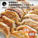 【ふるさと納税】自家製餃子 北海道産食材にこだわった「tokitto GYOZA」