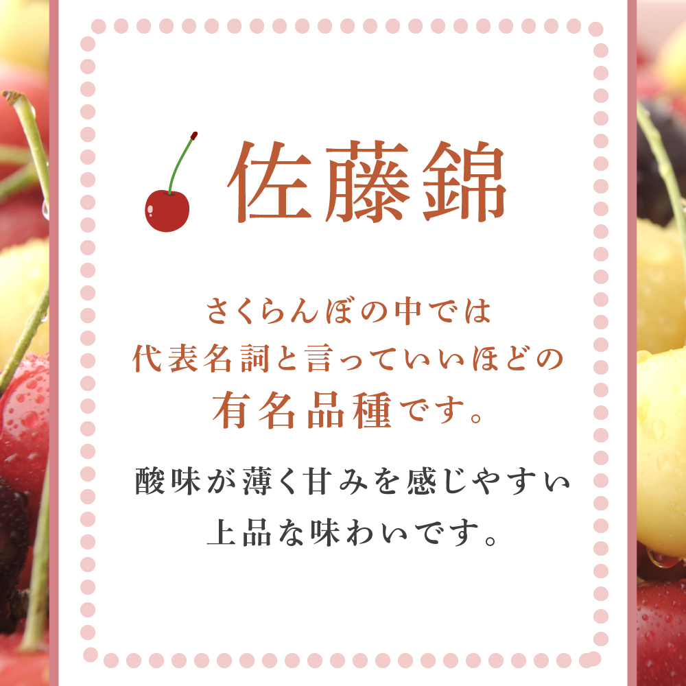 【 先行受付 】さくらんぼ 佐藤錦 1kg (500g×2パック) チェリ