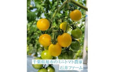 ミニトマトジュース (赤180ml 3本・黄180ml 1本 合計4本入) トマトジュース ブランド お日様えくぼ(R) ﾄﾏﾄ ﾄﾏﾄ ﾄﾏﾄ ﾄﾏﾄ ﾄﾏﾄ