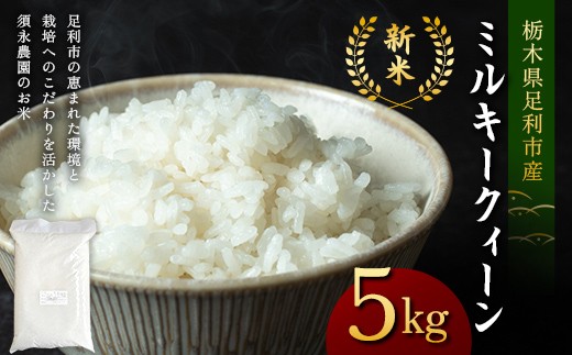 令和7年産 新米 栃木県足利市産ミルキークィーン5kg 精米 白米 米 こめ ごはん 食品 栃木県 足利市 F7Z-1819