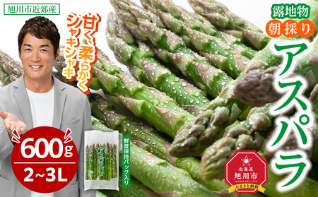 【2026年先行予約】露地物朝採りアスパラ　鮮度保持フィルム入り　2～3L　600g(5月中旬発送開始予定) | アスパラ アスパラ アスパラ アスパラ アスパラ アスパラ _03816