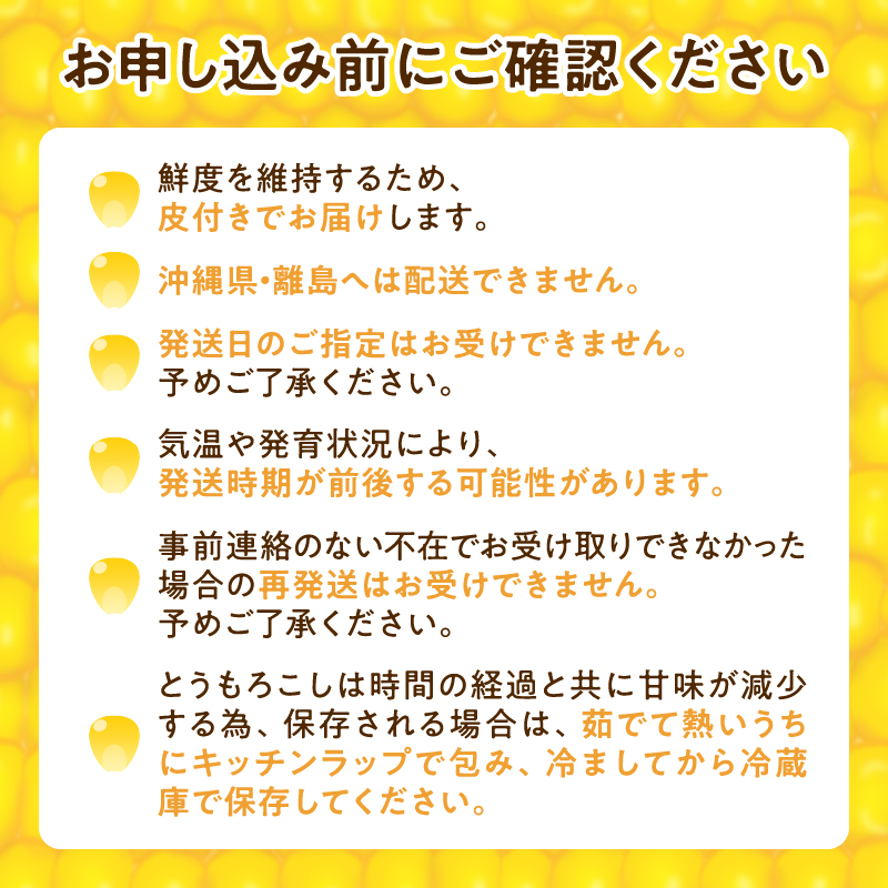 【令和7年産先行受付】生でも美味しい！ とうもろこし 「 サニーショコラ 」 10本（Lサイズ）【配送不可地域：沖縄・離島】
