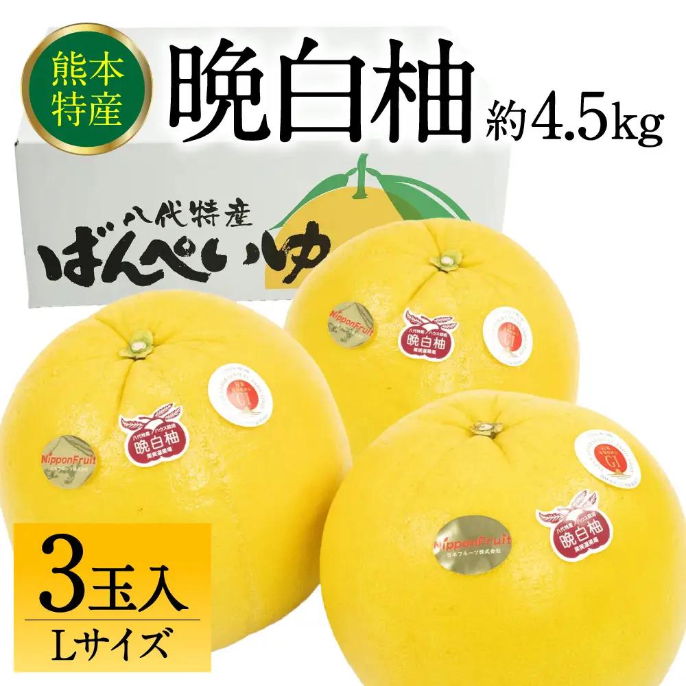 【先行予約】晩白柚 ばんぺいゆ Lサイズ 3玉 約4.5kg 晩白柚 柑橘 【2026年12月上旬より順次発送】
