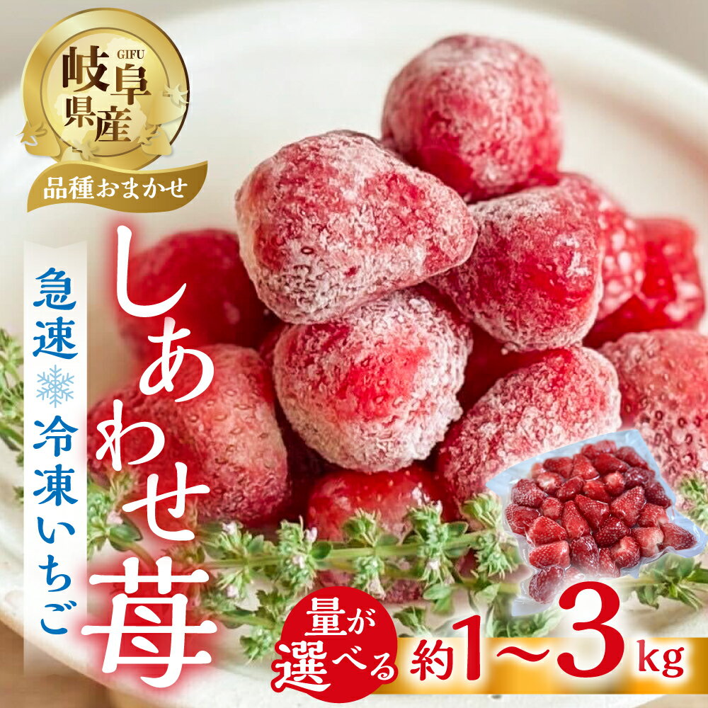 【ふるさと納税】【2026年5月発送〜】急速 冷凍いちご 選べる 1kg ~ 3kg (500g × 2p 3p 6p) 簡易梱包 サイズ 不揃い 訳あり 訳アリ フルーツ 果物 苺 いちご 紅ほっぺ 品種おまかせ イチゴ アイス family農園 子ども 小分け 国産 産地直送 8000円 1万 [mt1505] 10000円
