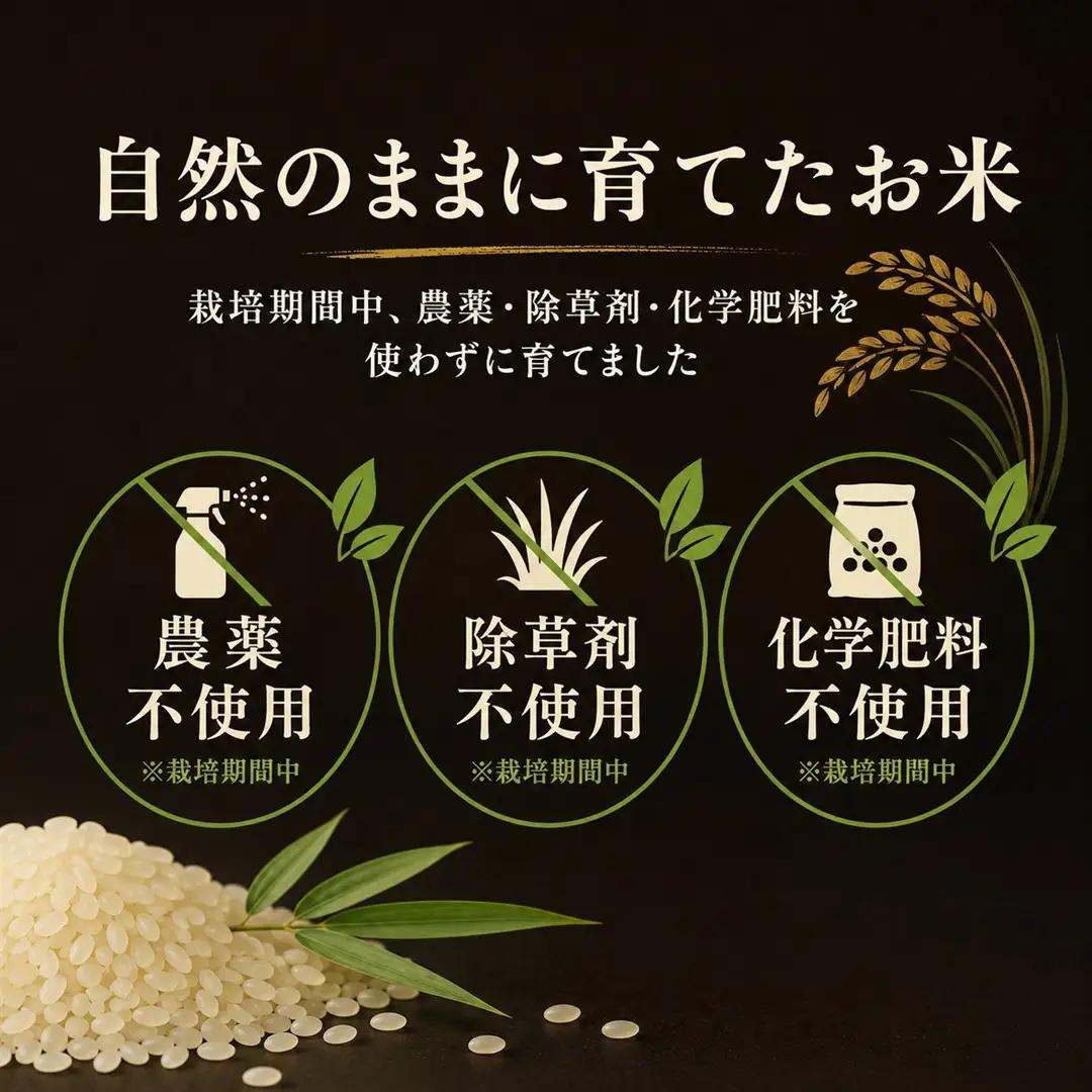 コシヒカリ 自然栽培米 5kg 精米 | 新潟県 佐渡市 コシヒカリ