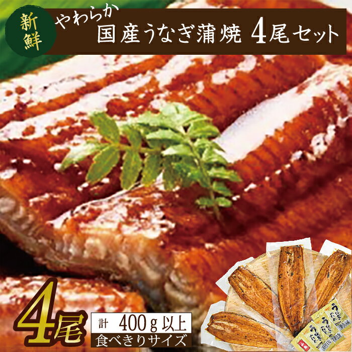【ふるさと納税】やわらか国内産うなぎ蒲焼き！ 食べ切りサイズ100～120g 4尾　計400g以上|うなぎ 鰻 蒲焼 食べ切り 茨城県 行方市(AD-104-1)