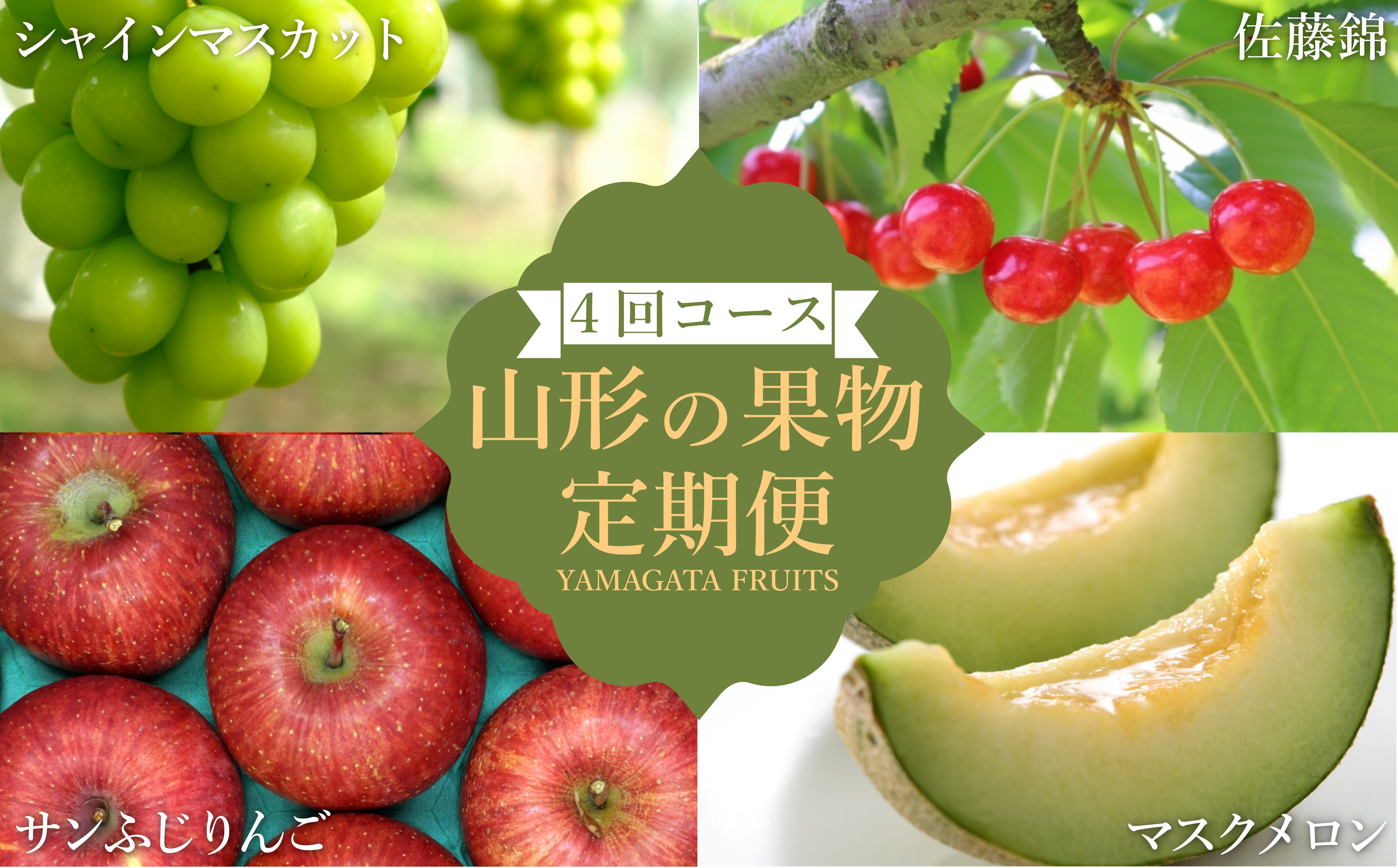 
            【2026年発送】【定期便4回】山形旬の果物4選（佐藤錦/メロン/シャインマスカット/りんご）_H241(R8)
          