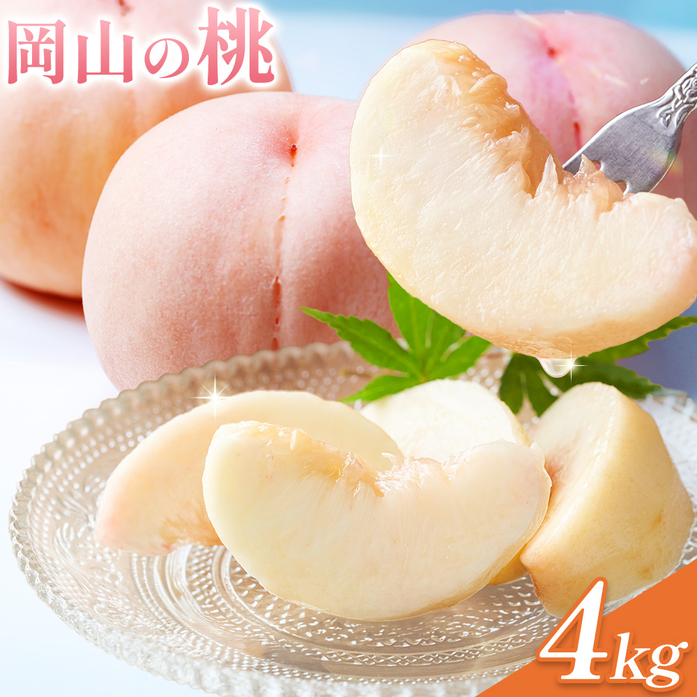 【2027年発送】桃 岡山の桃 約4kg《2027年6月下旬～9月上旬頃出荷》岡山県 笠岡市 白桃 岡山 はくとう スイーツ フルーツ 果物 デザート 旬 モモ もも 送料無料 果物 清水白桃 白鳳 白麗 クール便---kasaoka_zsy_423_400a---