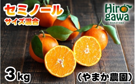 セミノール 3kg サイズ混合 M～2L / 秀品 優品 甘い 和歌山 有田 柑橘 ※2027年4月下旬〜5月上旬に順次発送【ymk016-r-3】