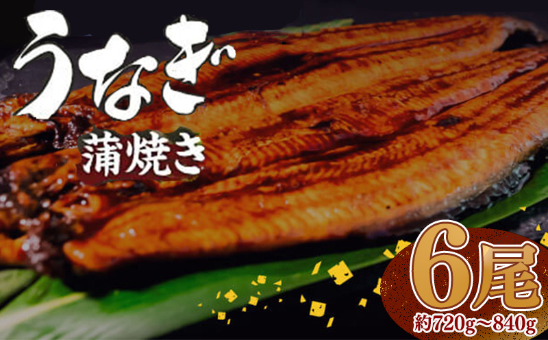 【肉厚】 うなぎ蒲焼き 720ｇ（120～140×6尾）/ 鰻 ウナギ かば焼き 冷凍