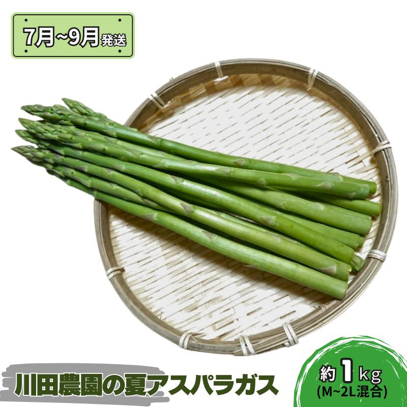【ふるさと納税】アスパラガス 先行予約 夏アスパラガス 約1kg+100g M～2L 混合 川田農園 アスパラ グリーンアスパラ 野菜 夏野菜 旬 旬の野菜 産地直送 2025年 2025 予約 青森 冷蔵 冷蔵配送 7月～9月発送　お届け：2026年7月25日～2026年9月10日