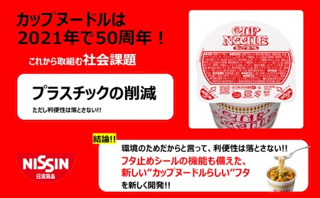 日清★カップヌードル★ 2箱・合計40食