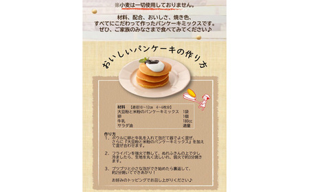 グルテンフリー パンケーキミックス（200g×4個） No.597