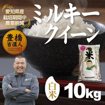 ふるさと納税 豊橋市 【栽培期間中農薬削減】令和7年産 ミルキークイーン白米10kg 愛知県 豊橋市 産地直送