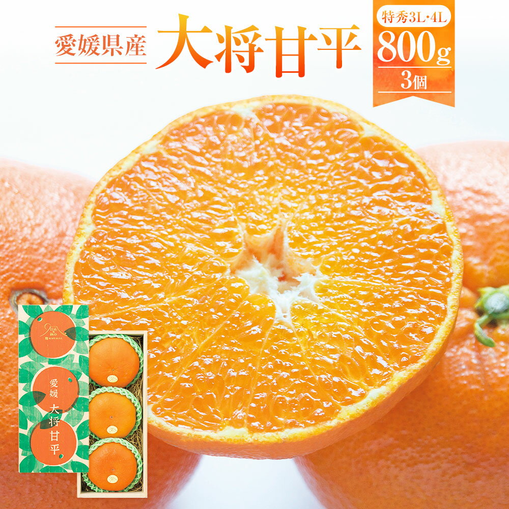 【ふるさと納税】愛媛県産 大将甘平 特秀 3L・4Lサイズ 約800g 3個 甘平 かんぺい みかん ミカン 蜜柑 柑橘 果物 くだもの フルーツ おやつ デザート 国産 愛媛県 送料無料【2026年2月上旬～2月下旬発送予定】(871)