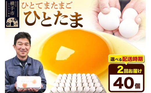《定期便2ヶ月》ひとたま 40個（業務用）