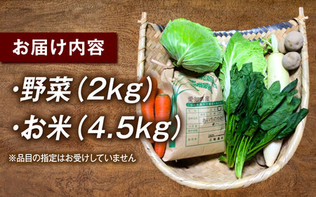 お米 あいちのかおり 4.5kgと旬の季節野菜 詰め合わせ / お米の三輪[AECM002]
