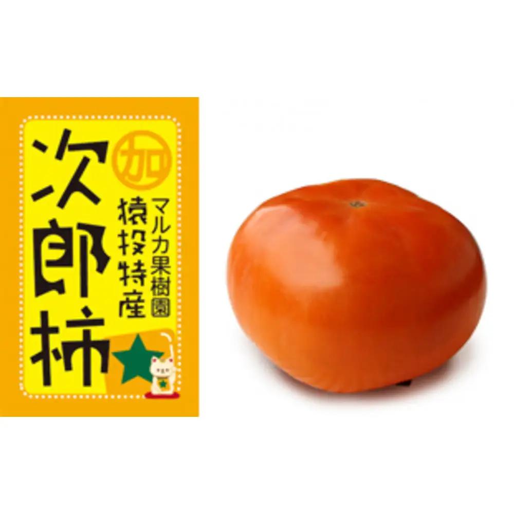 ＜先行受付＞次郎柿　約4.4kg【2026年10月下旬以降順次発送】