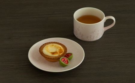 【美濃焼】カップ＆ソーサー traditional mug＆plate pair set 『sora × sakura』【柴田商店】[TAL034]