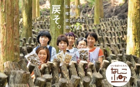 008-1341【ふるなびWEEK対象】小町のどんこ詰め合せ どんこ椎茸 45g×4パック 合計180g