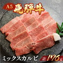 【ふるさと納税】飛騨牛 A5 ミックスカルビ 176g（約2人前）【冷凍】牛肉 肉 和牛 赤身 人気 カルビ 焼肉 牛 天狗飛騨牛 下呂温泉 牛肉 肉 和牛 赤身 人気 国産 贈答品 真空 BBQ バーベキュー 7000円