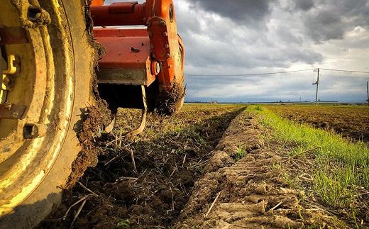 【令和7年産 新米 先行予約】 はえぬき (精米) 5kg 《令和7年1