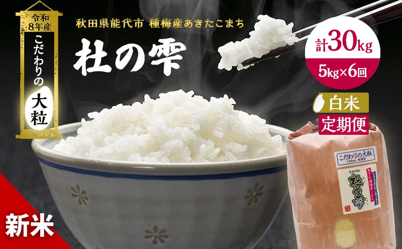 
                  新米 先行予約 令和8年産[白米]【定期便6ヶ月】秋田県産 あきたこまち 5kg×6回 計30kg「杜の雫」こだわりの大粒 種梅産【 お米 おこめ たねうめ 精米 ご飯 ごはん ブランド米 大粒 おにぎり 産地直送 能代 】
                