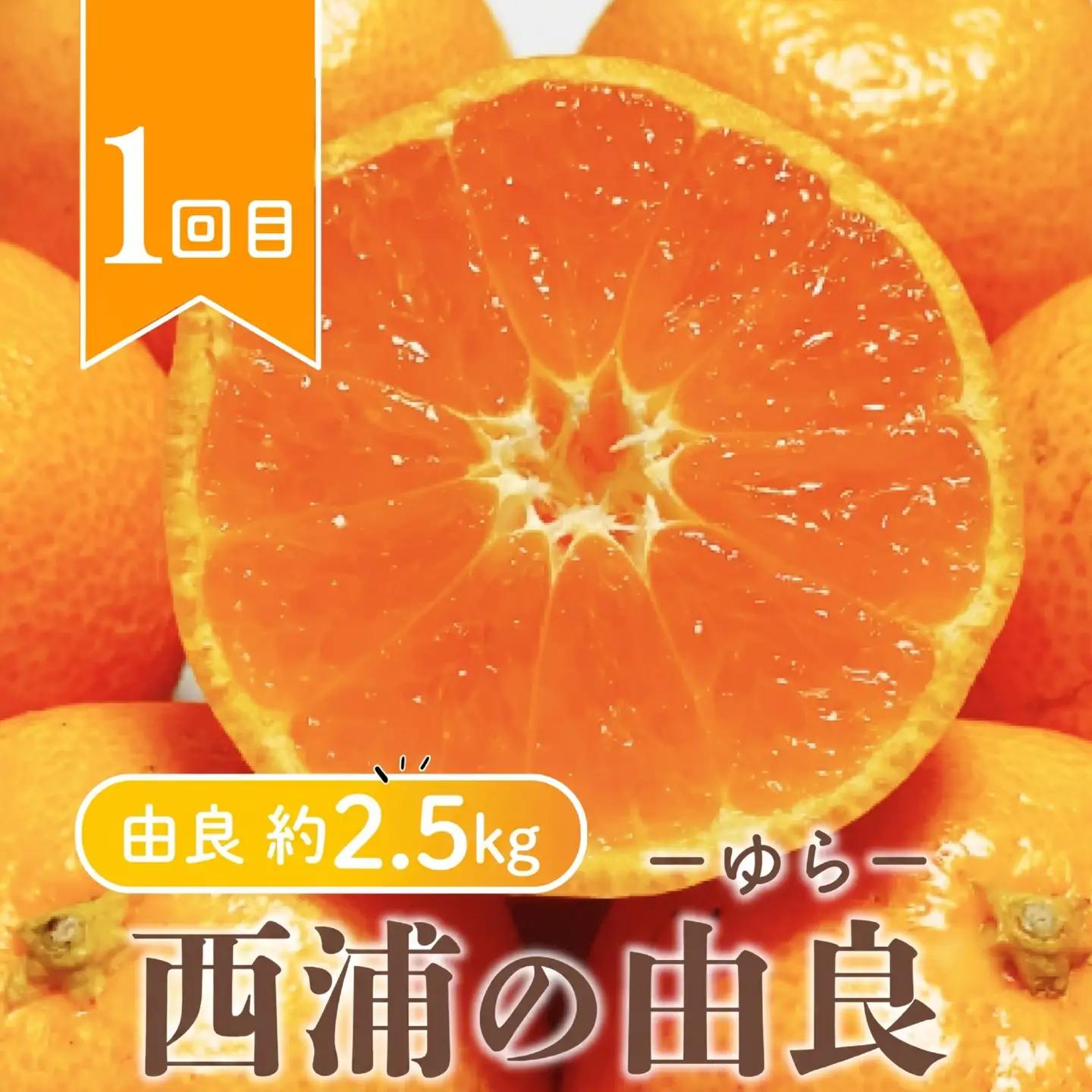 【 柑橘 定期便 】 訳あり 3回 定期便 由良 みかん 2.5kg 寿太郎 みかん 2.5kg 黄金柑 2.5kg 