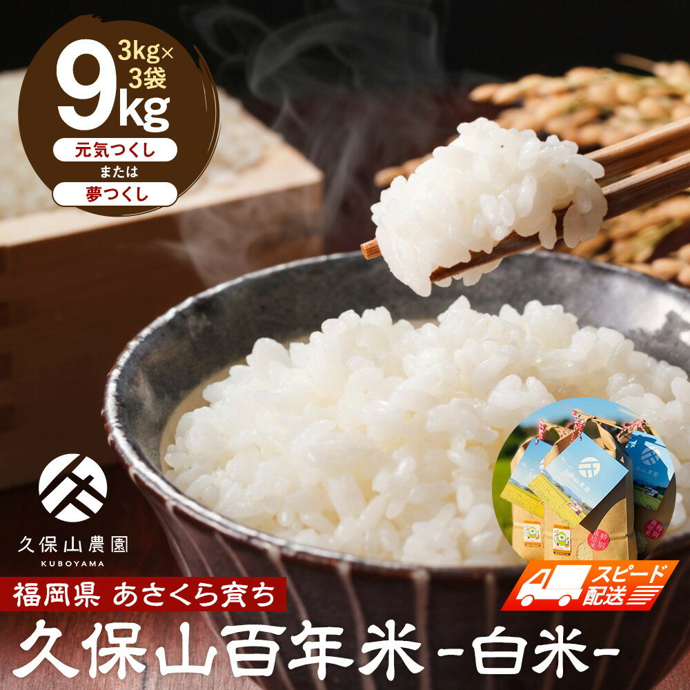 【ふるさと納税】【特別栽培米】久保山百年米-白米3kg×3袋 計9kg