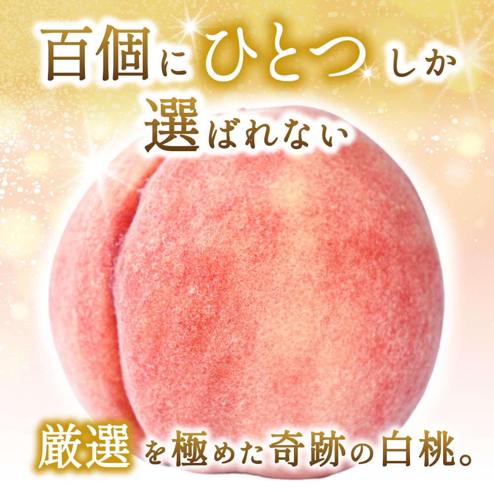 【2026年発送分先行予約】数量限定！【モモ】川中島白桃 約2kg 6個入 100個に1個の特選最上級秀品！ こだわり農家厳選！【2026年7月末から8月末順次発送】/ 和歌山県 もも 桃 高級 贅沢