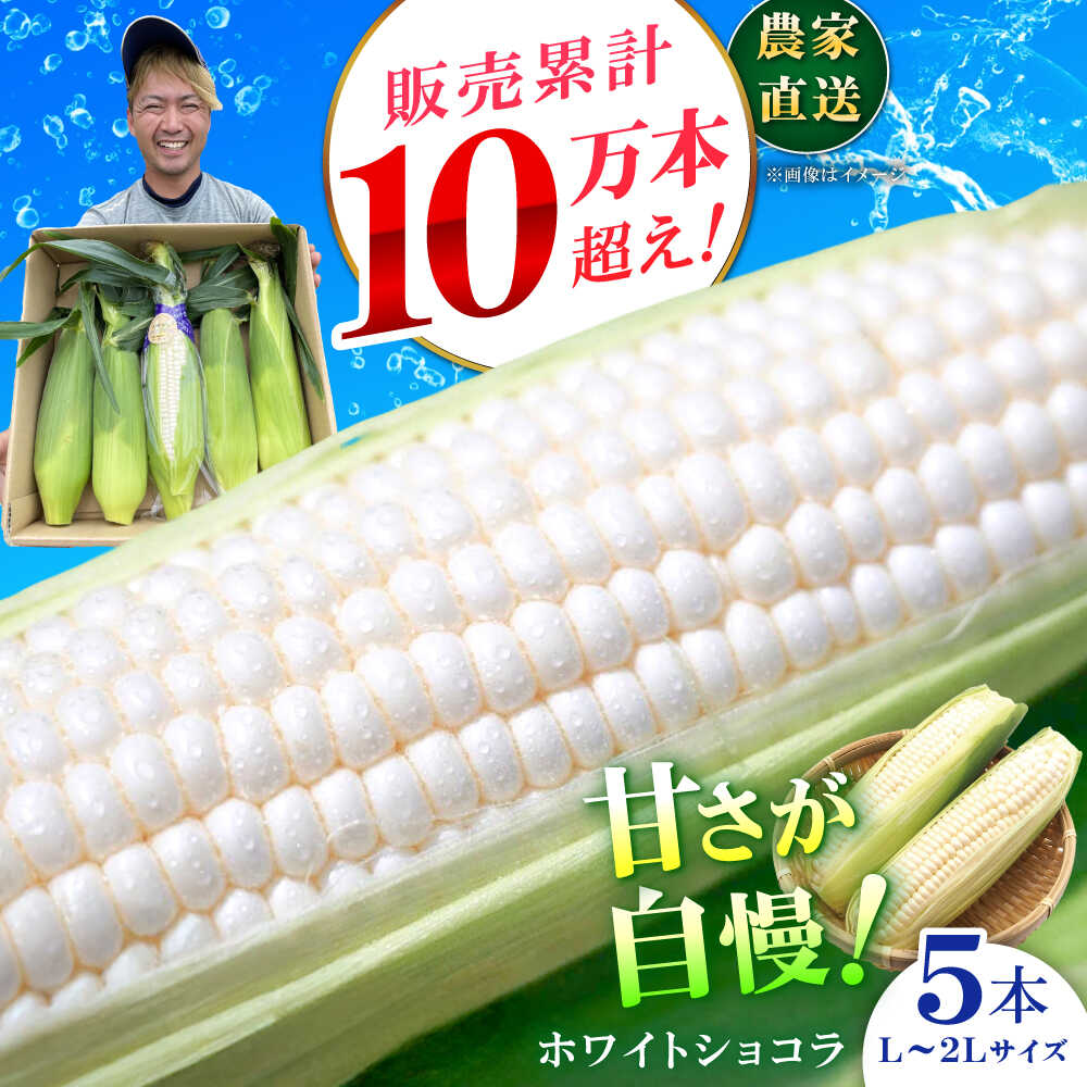 【ふるさと納税】【先行予約】【数量限定】白いとうもろこし ホワイトショコラ 5本【文命農業】開成町 野菜 とうもろこし トウモロコシ ホワイトショコラ[BDAX001]
