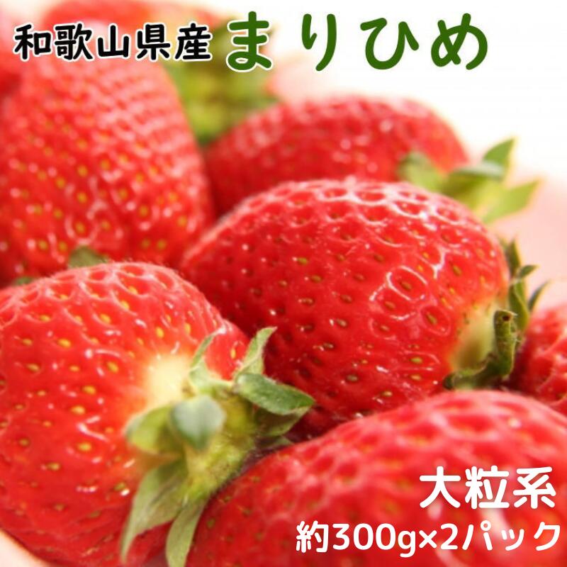 【ふるさと納税】 いちご 和歌山県産ブランドいちご「まりひめ」大粒系約300g×2パック入り ※2025年12月中旬～2026年2月下旬頃順次発送（お届け日指定不可）イチゴ 苺 まりひめ 和歌山 オリジナル 甘味 濃厚 ジューシー