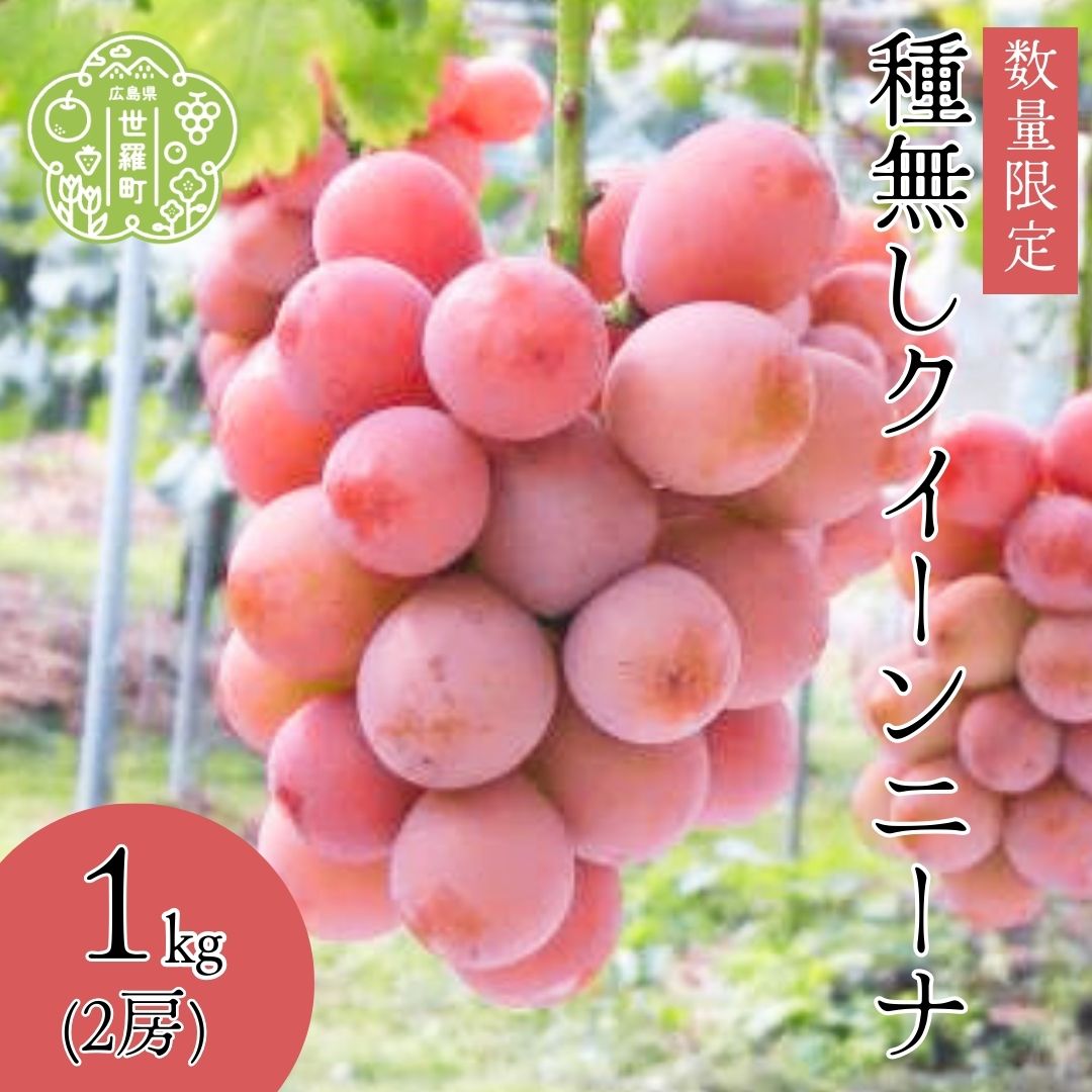 【ふるさと納税】種無しクイーンニーナ1kg(2房) 【2025年9月上旬以降順次発送】安井農園 ぶどう ブドウ 葡萄 たねなし クイーン ニーナ フルーツ 果物 くだもの 産地直送 世羅産 A009-02