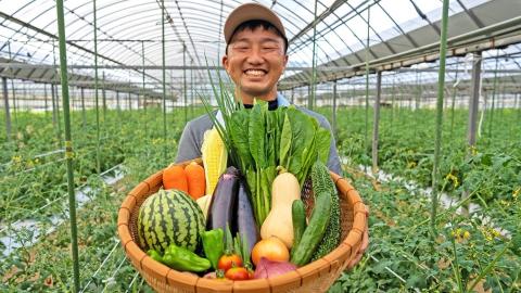 宗像とれたて　野菜・たまご・お米(2kg）セット【オアシス】_HA0776