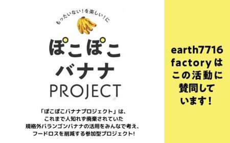 バナナブレッド 1本丸ごと約880g／パン バナナケーキ パン バナナケーキ【earth7716factory】[ASBV001]