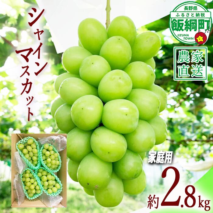 【ふるさと納税】 ぶどう シャインマスカット 家庭用 ( お徳用 ) 約 2.8kg ファームトヤ 配送は本州限定 令和8年度収穫分 長野県 飯綱町 〔 信州 果物 フルーツ ブドウ マスカット 葡萄 長野 予約 農家直送 〕発送時期：2026年9月中旬〜2026年10月上旬